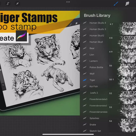 60 Tiger Stamps for procreate !! Must have for tattooers easy to stencil